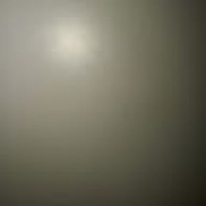 Meet your Posher, Roney